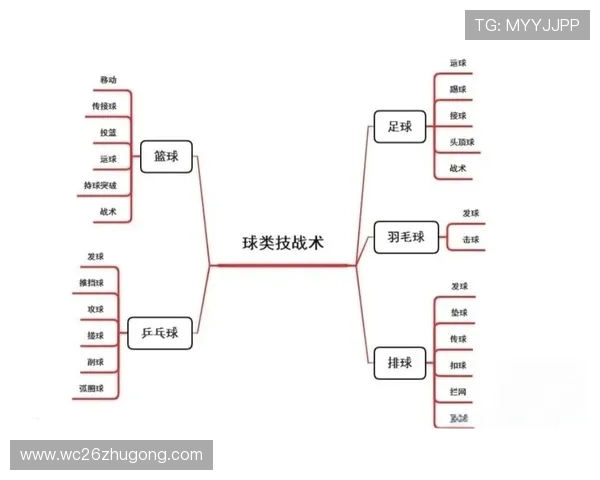 篮球世界杯的战术分析与明星球员的精彩表现 篮球世界杯的战术分析与明星球员的精彩表现