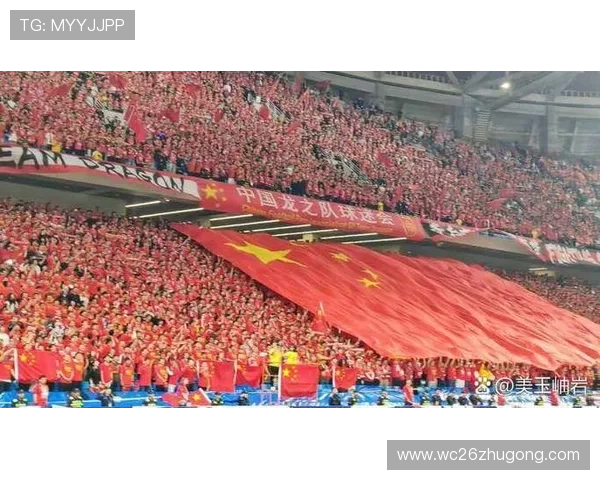 中国队在世界杯预选赛积分榜上的位置及影响因素深度分析与预测