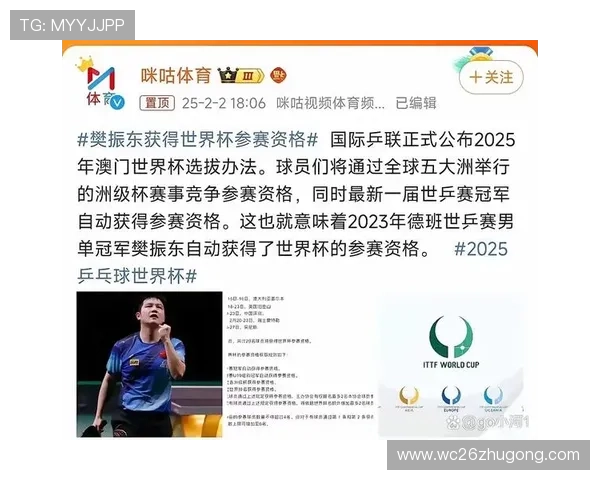 深入分析历届乒乓世界杯冠军表，揭示冠军背后的故事与中国乒乓球的霸主地位
