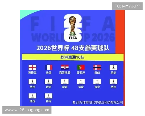 葡萄牙在欧洲区世界杯预选赛中的积分排名及其对晋级形势的影响分析